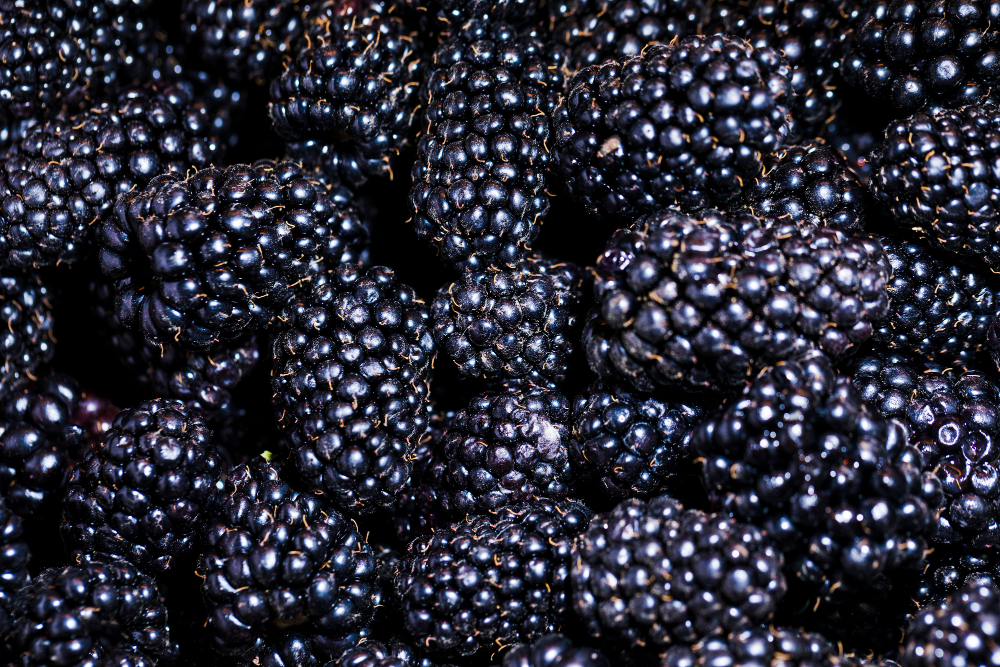 Blackberry