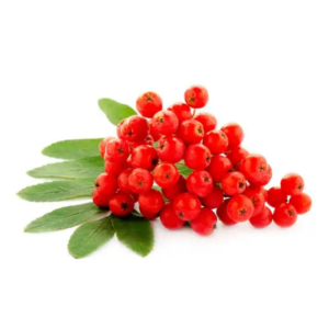 Rowanberry