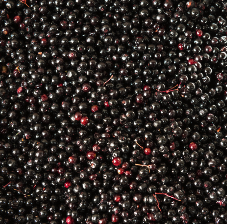 Elderberry